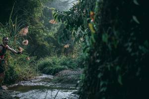 BIB: 
                            <button type="button" onclick="openModal(13716617)" class="btn btn-primary btn-sm float-right btn-popup" data-toggle="modal" data-target=".modal-high-quality">
                        <i class="fas fa-shopping-cart"></i> Add to Cart
                    </button>
                                            <button type="button" onclick="isThisMe(13716617, true)" class="btn btn-success btn-sm float-right btn-popup btn-isme hidden" data-toggle="tooltip" data-placement="bottom" title="นี่คือรูปของคุณใช่ไหม คลิกที่นี่เพื่อเอาเข้าอัลบั้ม">
                        <i class="fas fa-plus"></i> Add to album
                    </button>
                    <button type="button" onclick="isThisMe(13716617, false)" class="btn btn-warning btn-sm float-right btn-popup btn-isnotme hidden">
                        <i class="fas fa-ban"></i> Remove from album
                    </button>